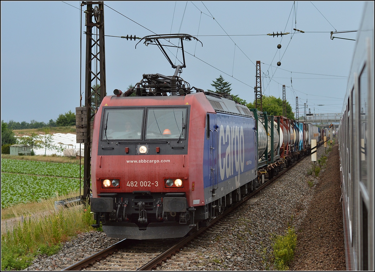 Fliegende Überholung der 482 002-3 mit Güterzug bei Schwetzingen. Juni 2015.