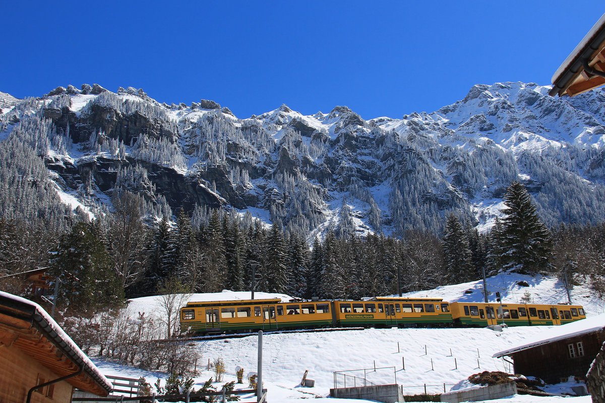 Für einen 29.April besonders imposante Kulisse für den Zug 131 mit Gelenksteuerwagen 251 oberhalb Wengen. 