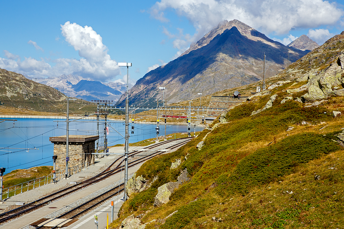 Geführt von dem RhB ALLEGRA-Zweispannungstriebzug ABe 8/12 – 3511  Otto Barblan  fährt der RhB-Regionalzug nach St. Moritz am 06.09.2021, dem höchsten Punkt der Berninabahn Ospizio Bernina, nun hinab in Richtung Pontresina.