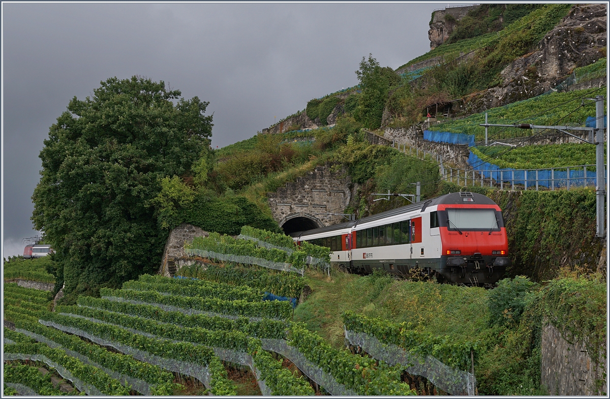 Impressionen vom nicht so gelungenen ersten  Umleitungswochenende  über die  Train des Vignes  Strecke infolge baubedingter Streckensperrung Vevey- Lausanne. 

Es läuft wie geschmiert, und das ist gerade das Problem, ein Blick auf die EXIF-Daten zeigt, dass der Zug weit weniger rasch an mir vorbeigleitet, als das Bild glauben machen will. Als vor der Eröffnung des LBT hin und wieder Lötschberg-Züge via Chexbres umgeleitet wurden, wurde im Bedarfsfall auf der 40 Promille Strecke Veyey - Puidoux-Chexbres Vorspann geleistet. Erfahrung und Wissen, welches in den letzten dreizehn Jahren scheinbar abhanden gekommen ist und von erneut fähigen Leuten an der Spitze nicht so von heute auf morgen wieder hergezaubert werden kann. Die SBB Re 460 089-6 quält sich ohne Sand mit dem RE 30630 zwischen Vevey und Chexbres im übereilten Schritttempo die 38 Promille Steigung hinauf; unfreiwillige Endstation des Zuges etwas zweihundert Meter später: Lavaux.

29. August 2020