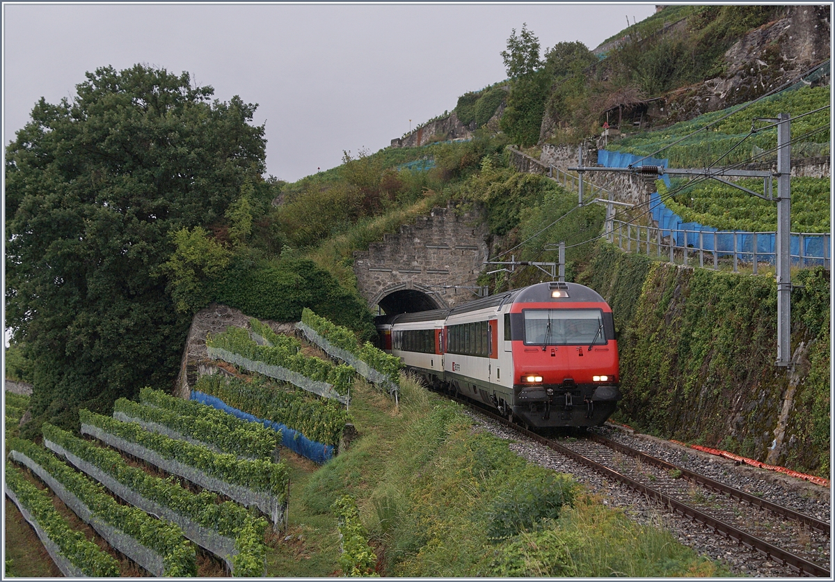 Impressionen vom nicht so gelungenen ersten  Umleitungswochenende  über die  Train des Vignes  Strecke infolge baubedingter Streckensperrung Vevey- Lausanne. 

Ein IR/RE auf der Fahrt nach Vevey oberhalb von St-Saphorin. 

29. August 2020