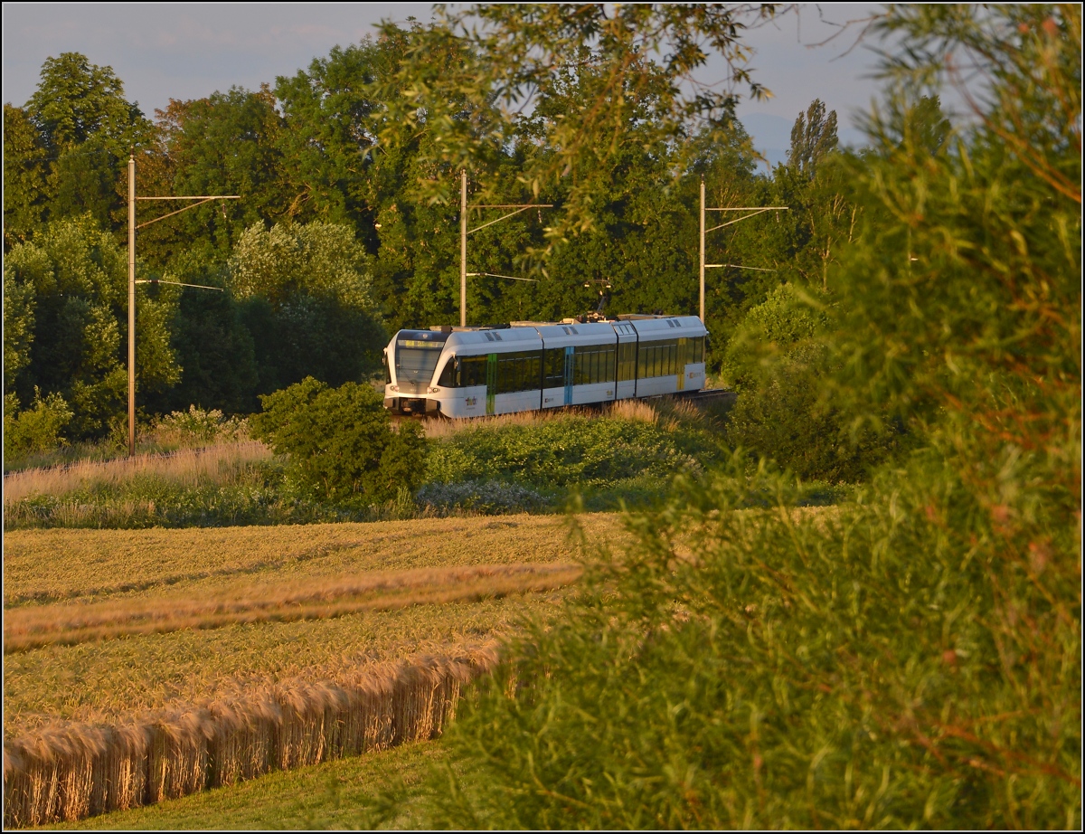 Ins rechte Licht gesetzt macht auch ein GTW was her. 

Thurbo GTW 2/8 unterhalb dem Spital Münsterlingen. Juni 2014.