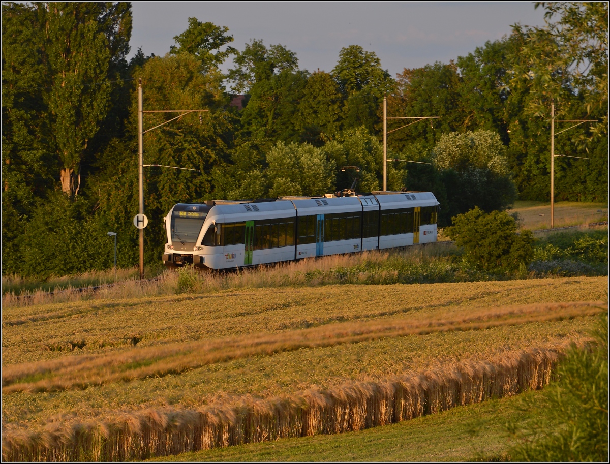 Ins rechte Licht gesetzt macht auch ein GTW was her. 

Thurbo GTW 2/8 unterhalb dem Spital Münsterlingen. Juni 2014.