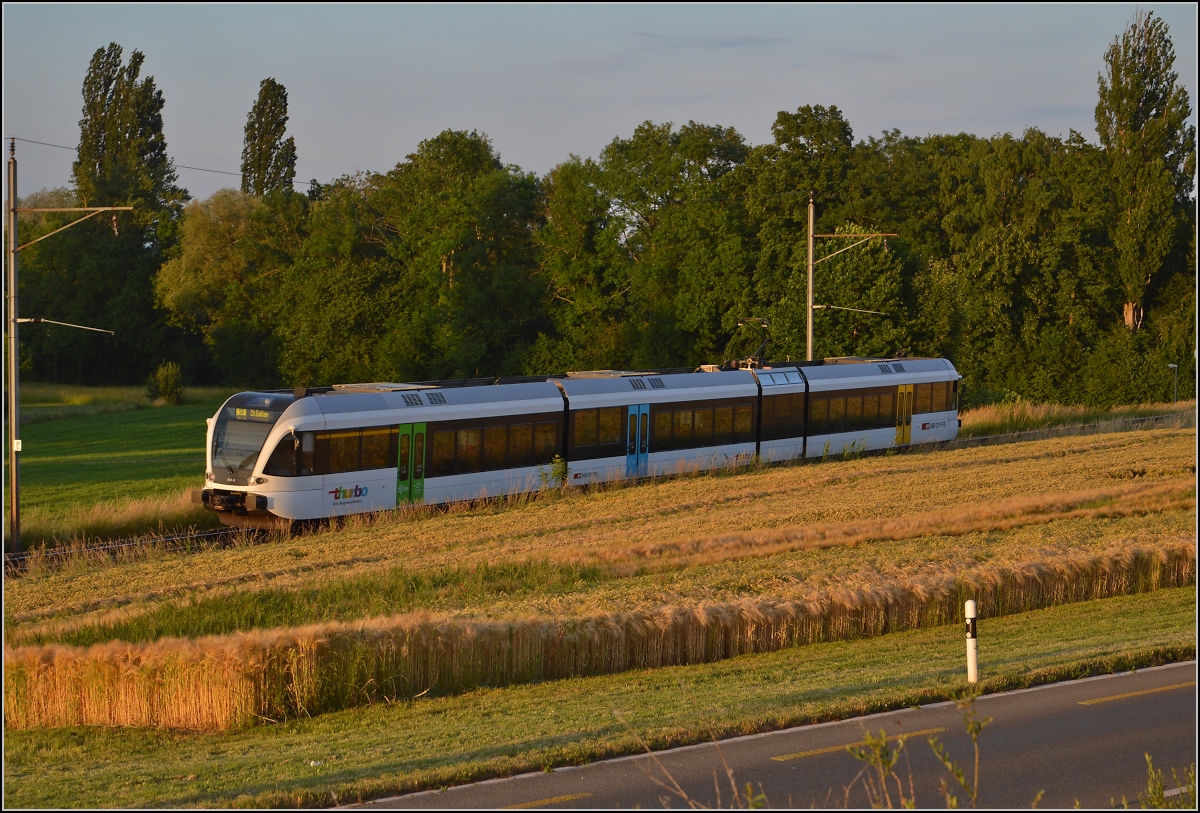Ins rechte Licht gesetzt macht auch ein GTW was her. 

Thurbo GTW 2/8 unterhalb dem Spital Münsterlingen. Juni 2014.