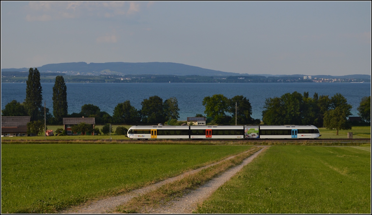 Ins rechte Licht gesetzt macht auch ein GTW was her. 

Thurbo GTW 2/8 zwischen Altnau und Güttingen. Juni 2014.