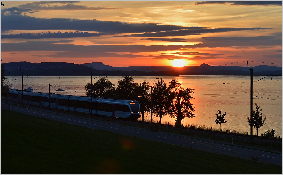 Ins rechte Licht gesetzt macht auch ein GTW was her. 

Thurbo GTW 2/8 unterhalb Arenenberg. Juni 2014.