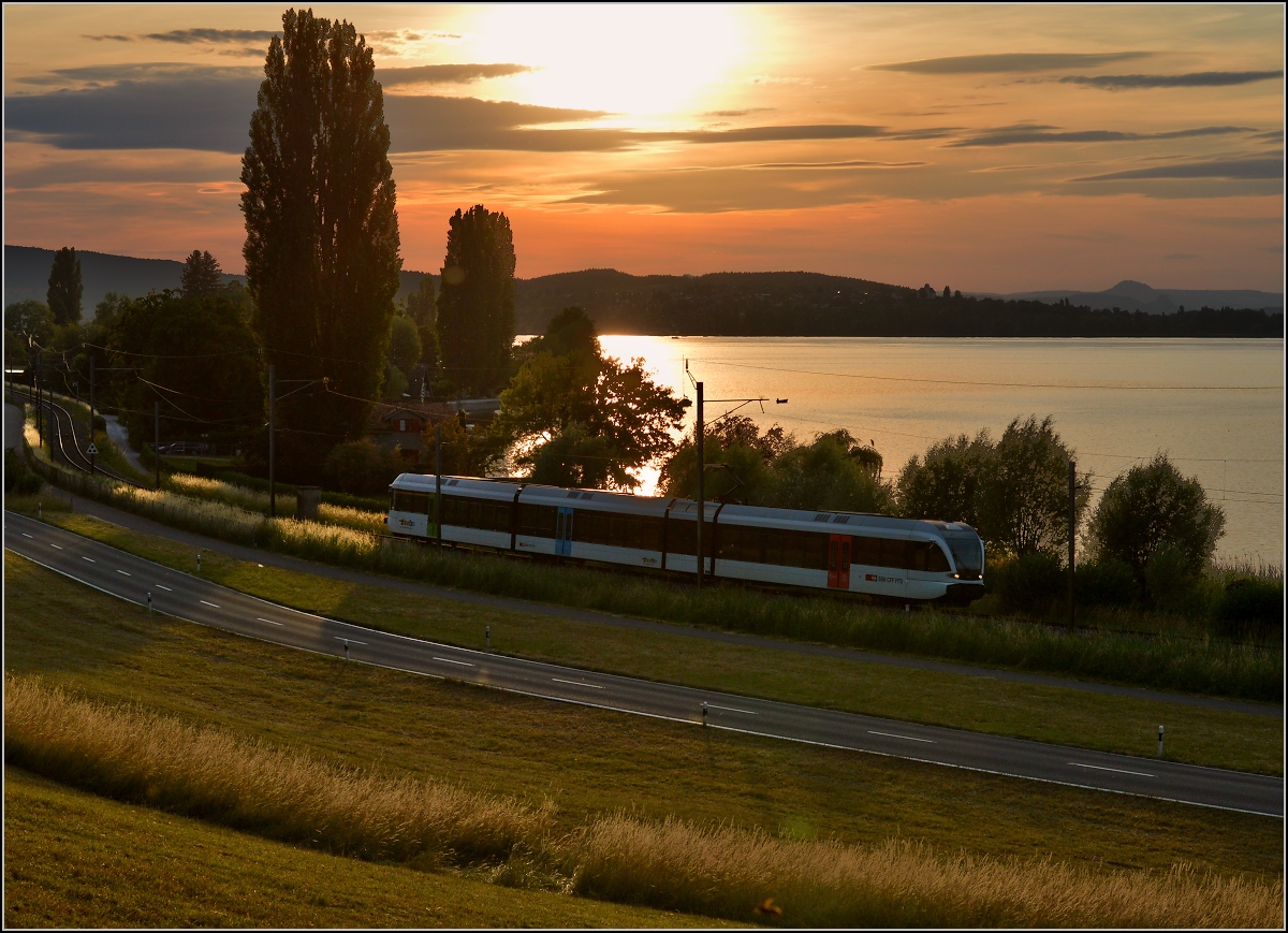 Ins rechte Licht gesetzt macht auch ein GTW was her. 

Thurbo GTW 2/8 bei Mannenbach. Juni 2014.