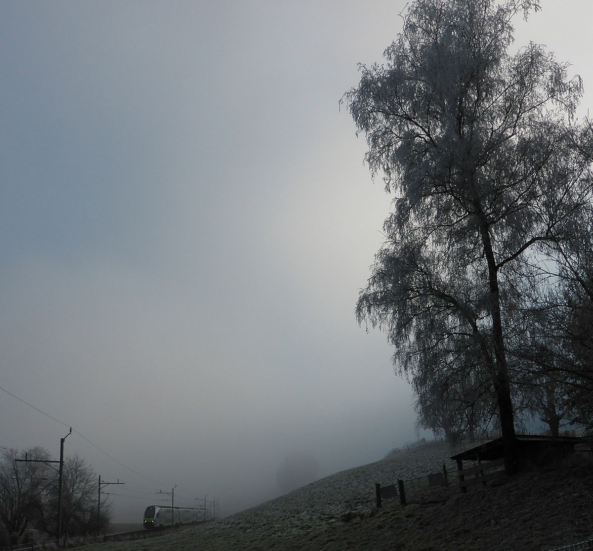 Jahresende. Ein BLS MUTZ kommt von Kehrsatz Nord her. 31.Dezember 2016. 