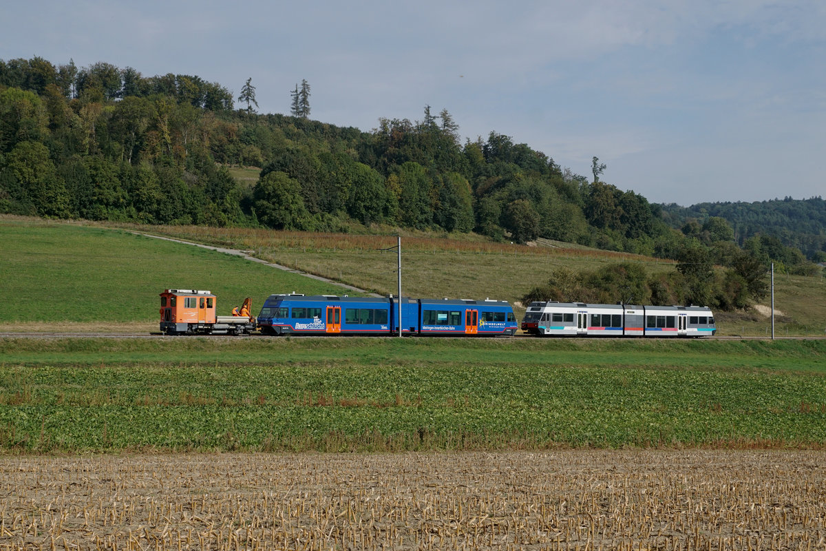 JAHRESRÜCKBLICK 2018
von Walter Ruetsch
Serie Nr. 5
Stadler Rail hat am 21. September 2018 den GTW Be 2/6 13 der Meiringen-Innertkirchenbahn (ehemals MVR) für Testfahrten nach Ins zur ASm/BTI überführt.
Die Weiterfahrt von Ins zum Depot Siselen erfolgte zusammen mit Be 2/6 7004 und Tm 541.  
