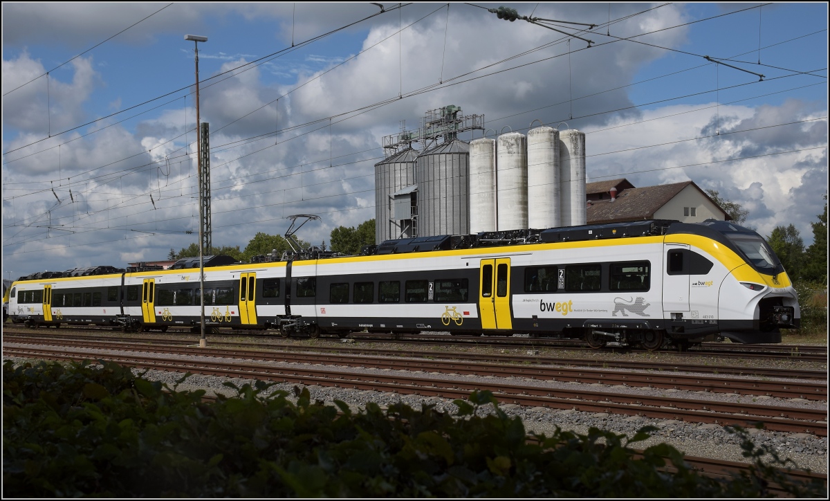Karpfenzucht in Radolfzell. 463 010 im Güterbahnhof. August 2020.