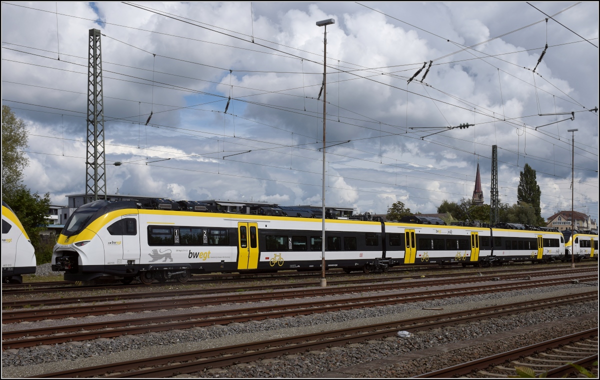 Karpfenzucht in Radolfzell. 463 016 im Güterbahnhof. August 2020.