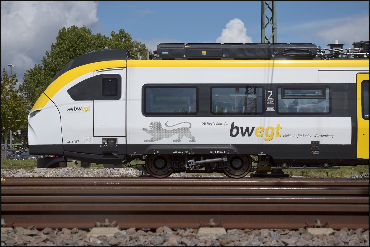 Karpfenzucht in Radolfzell. Detailstudie von 463 017, die Achsen sind innengelagert bei allen Drehgestellen. Die Schnauze ragt weit nach vorne und ein Teil des Triebzuges kann tatsächlich entfallen. Hier ist tatsächlich auf 3 Teilen so viel Sitzplatz wie im Flirt auf 4 Teilen. Ob das allerdings coronagerechte Sitzplatzabstände ergibt, muss sich noch zeigen. August 2020.