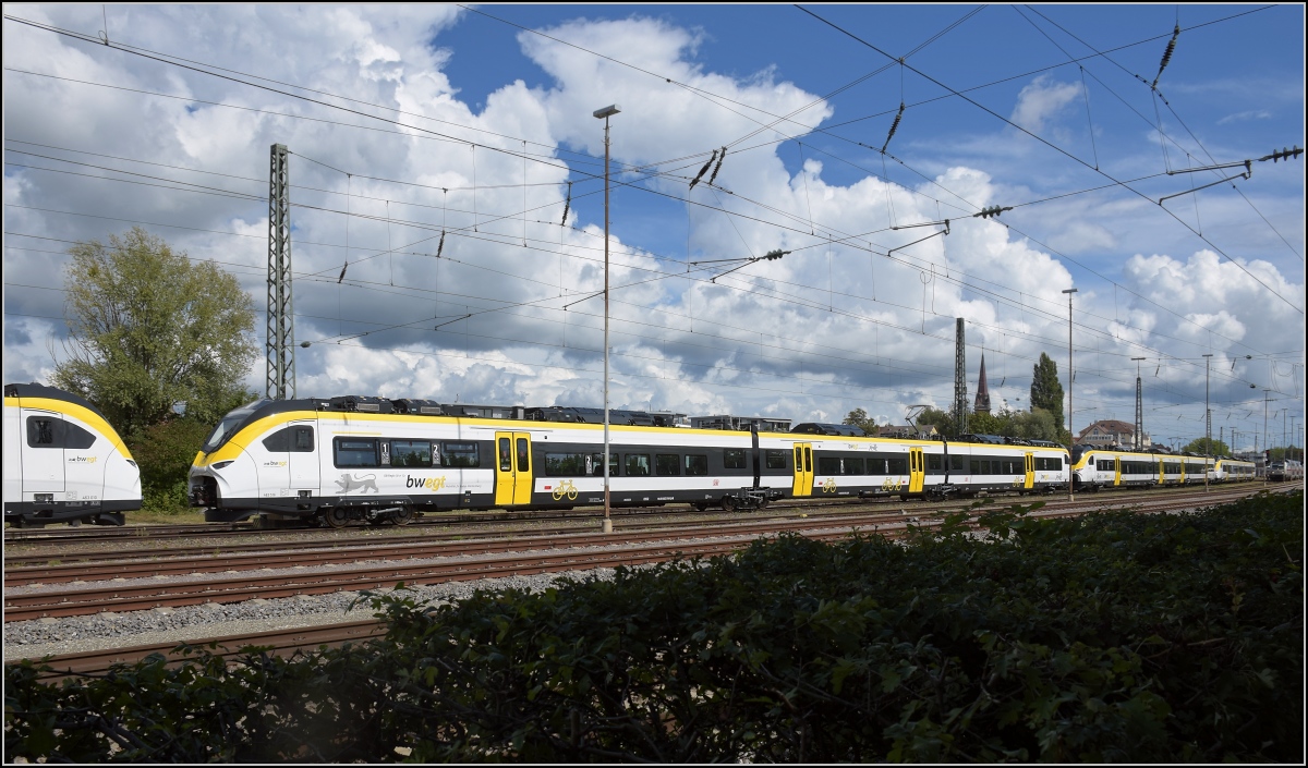 Karpfenzucht in Radolfzell. Die anderen Exemplare 463 016, 007 und 004 im Güterbahnhof, die Nase steckt wieder 463 010 ins Bild. August 2020.
