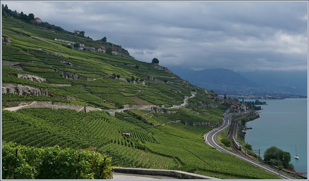Lavaux, mit einem Regionalzug auf der Train des Vignes Strecken (Puidoux-Chexbres -Vevey und einem Flirt Richtung Lausanne kurz vor Rivaz.
22. Juli 2017
