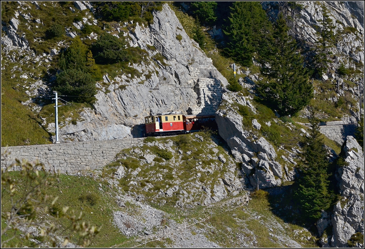 Lok Nr. 19, Frühblume, der Schynige Platte Bahn im oberen Streckenabschnitt. Diese Lok wurde im Jahr 1911 an die Wengernalpbahn geliefert und befindet sich seit 1963 auf SPB. Oktober 2011.