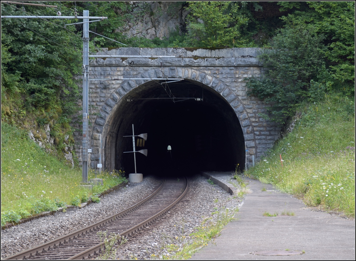 Mal eine technische Kuriosität statt bunter Bilder.

Die Strecke von Neuenburg nach La Chaux-de-Fonds brauchte einen langen Scheiteltunnel unter dem Col de la Vue des Alpes. Da offenbar einfacher zu realisieren, gab es in Convers einen Zwischenangriff und eine leicht verlängerte Strecke. Hier das Tunnelportal des Mont Sagne Tunnels, wo man bis nach La Chaux-de-Fonds durchblicken kann. Die 125 m lange Kurve zum Tunnel des vorhergehenden Bildes war ursprünglich der Bahnhof Convers. Ich stand für die Fotos auf dem ehemaligen Bahnsteig, der noch teilweise vorhanden ist. Die Weichen lagen noch in den Tunneln. Les Convers, Juli 2018.

Die SBB-Webseiten kennen diesen Bahnhof immer noch, obwohl dieser längst nur noch ein Stück Streckengleis ist. Zu Schließfächern und Veloplätzen gibt es keine Angaben. http://www.sbb.ch/de/bahnhof-services/am-bahnhof/bahnhoefe/bahnhof.4238.convers.html