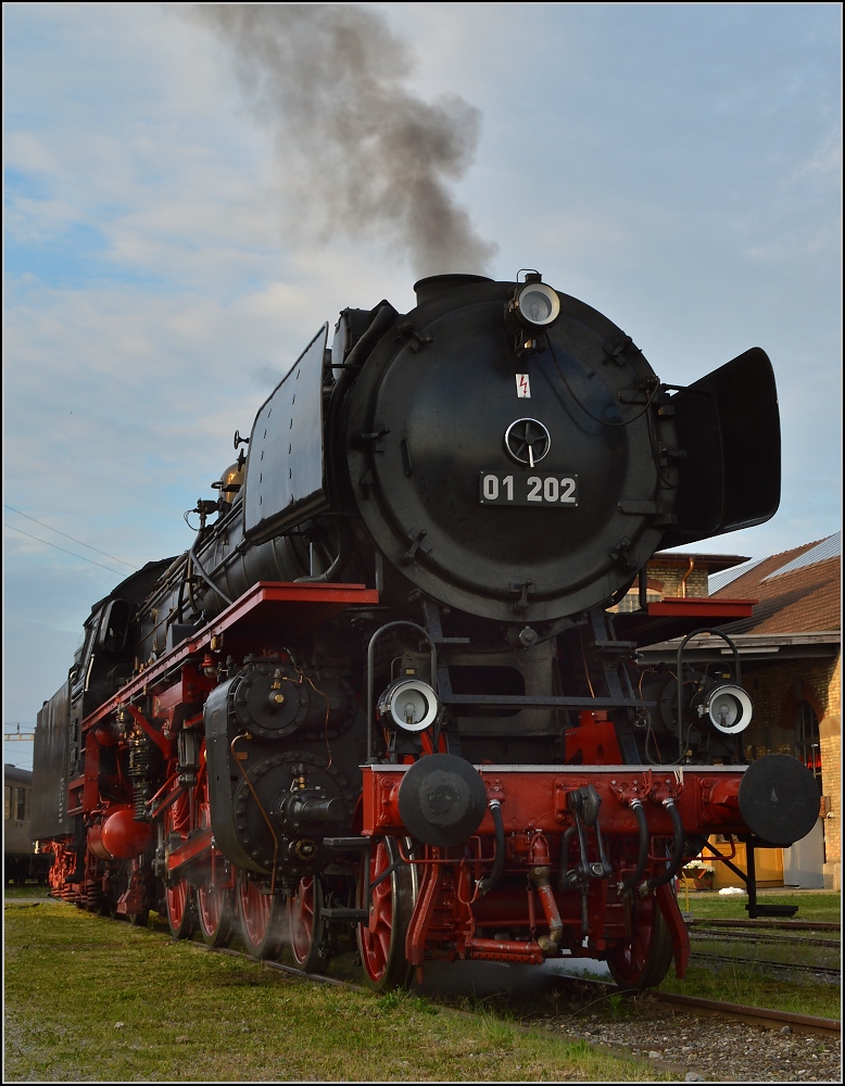 Nach getaner Arbeit, 01 202 beim Abdampfen in Romanshorn. Mai 2015.