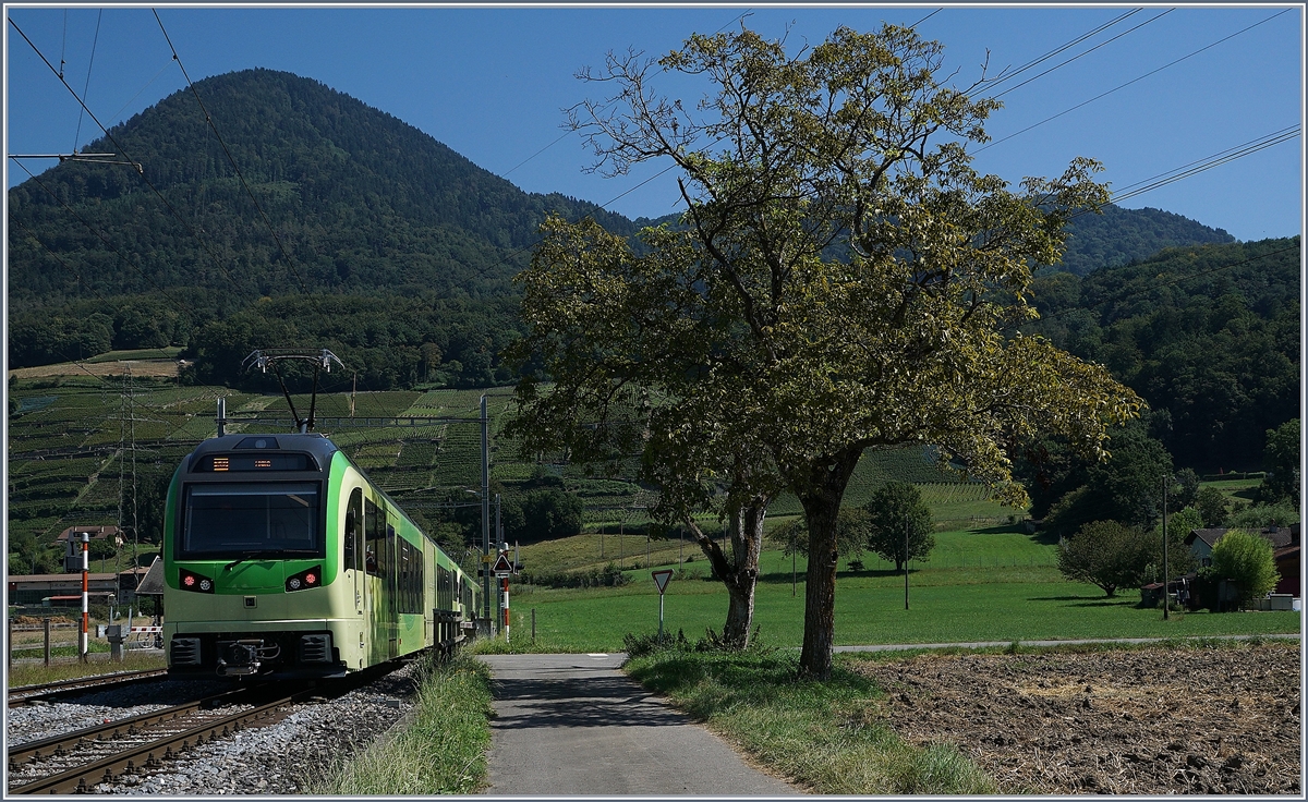 Nach einer längern, Systemumstellung bedingten (Sommer)-Pause fährt die AOMC wieder! Das Bild zeigt zwei TPC Bhe 2/6 in Villy. 26. August 2016
26.08.2016 