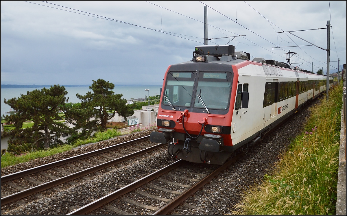 NPZ-Domino am Neuenburger See. Juni 2016.