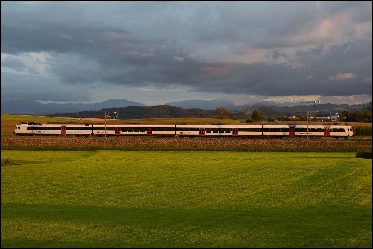 NPZ Domino RBDe 560 am Abend in Egolzwil. August 2021.
