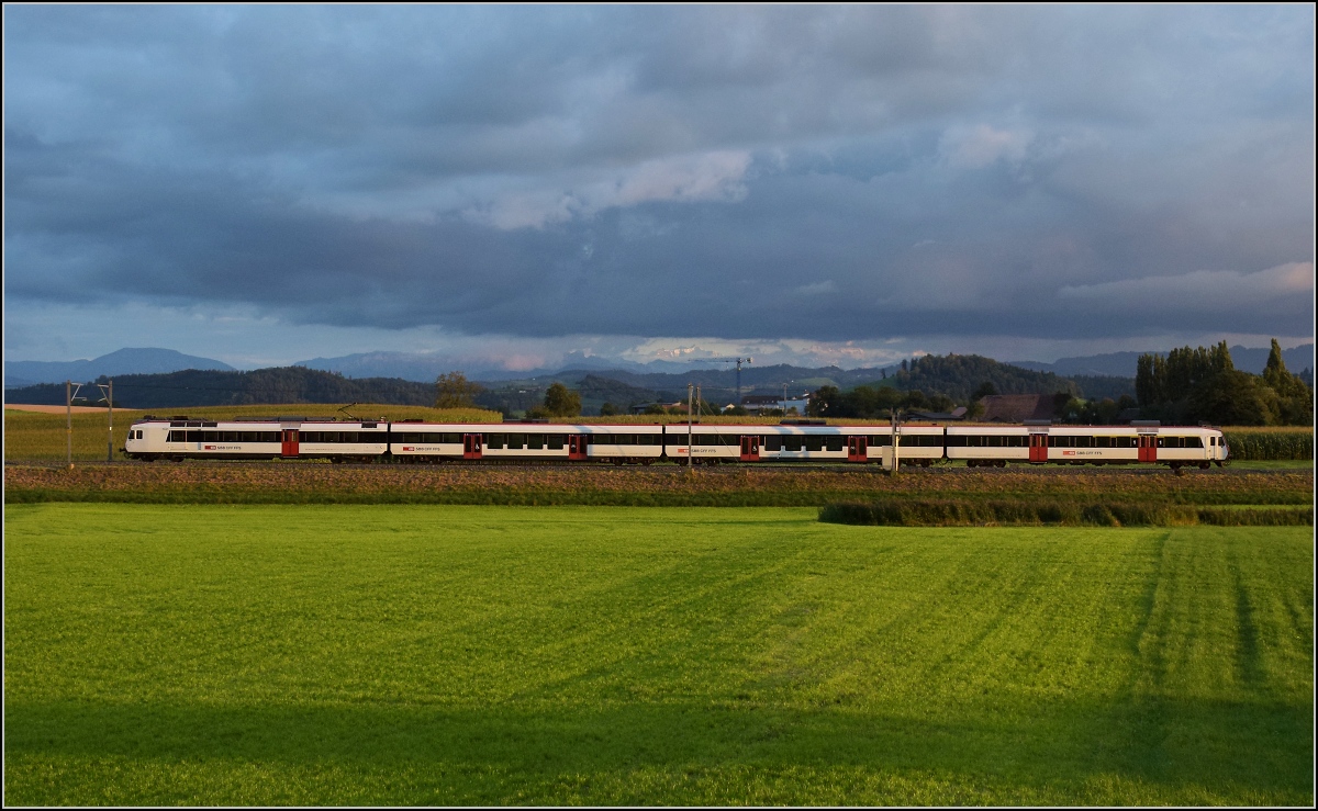 NPZ Domino RBDe 560 am Abend in Egolzwil. August 2021.