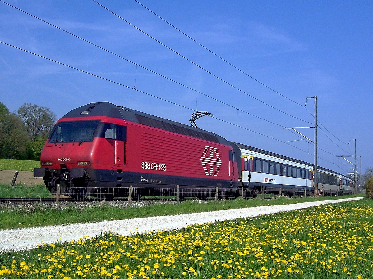 Oberhalb von Kreuzlingen fährt Re 460 000-3 mit dem IR Konstanz-Biel am 25.04.2010 den Seerücken hinauf.
