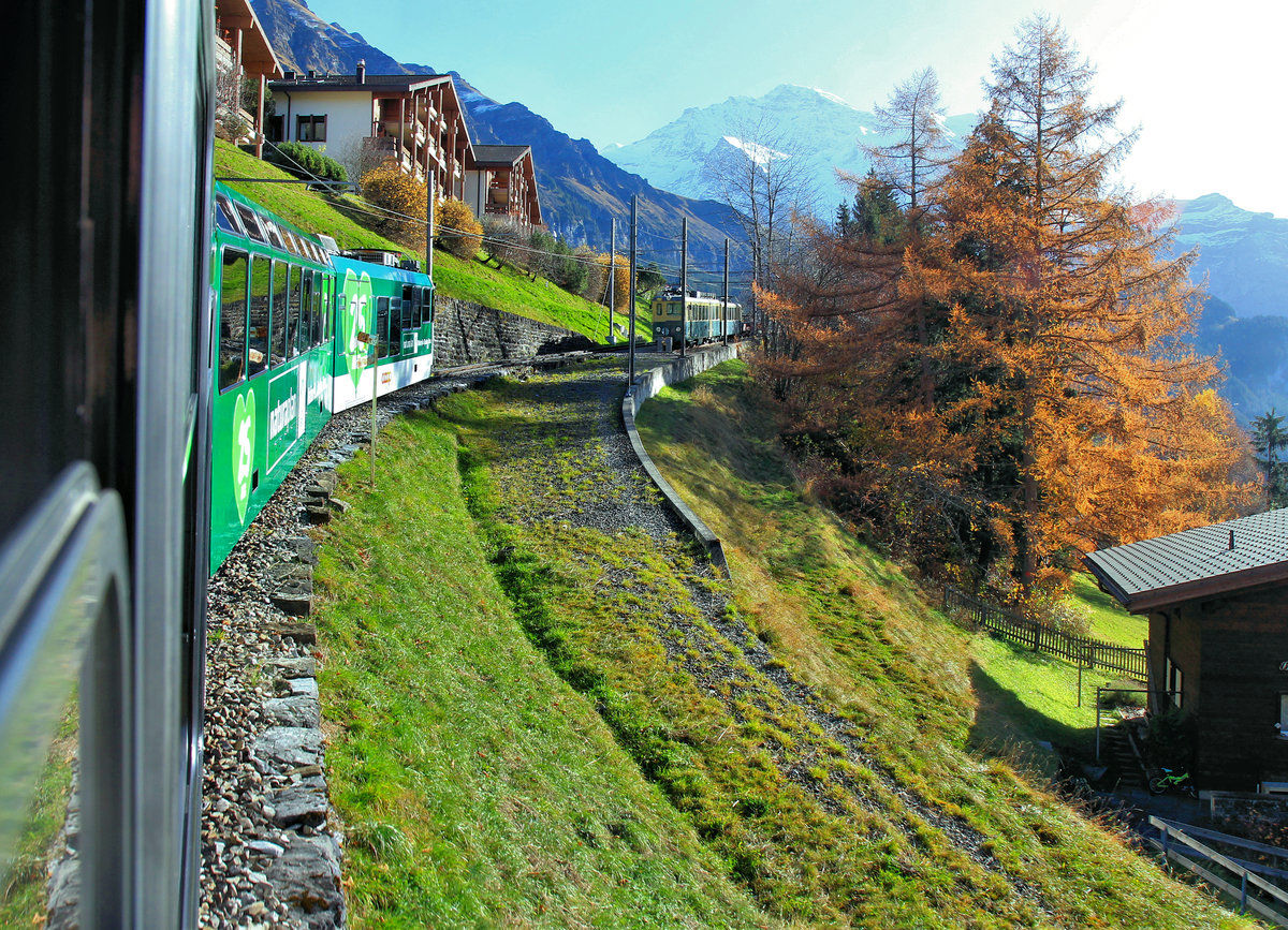 Panorama-Triebwagen 141 wirbt für COOP; hier fährt er von Wengen ins Tal. Gut sichtbar ist das einstige Bahnbett der direkten, steilen Strecke Wengen-Lauterbrunnen, die 2009 abgebrochen wurde. Auf dem Rest der alten Strecke unterhalb Wengen ist Triebwagen 110 mit seinem Steuerwagen 272 abgestellt. 7.November 2020 