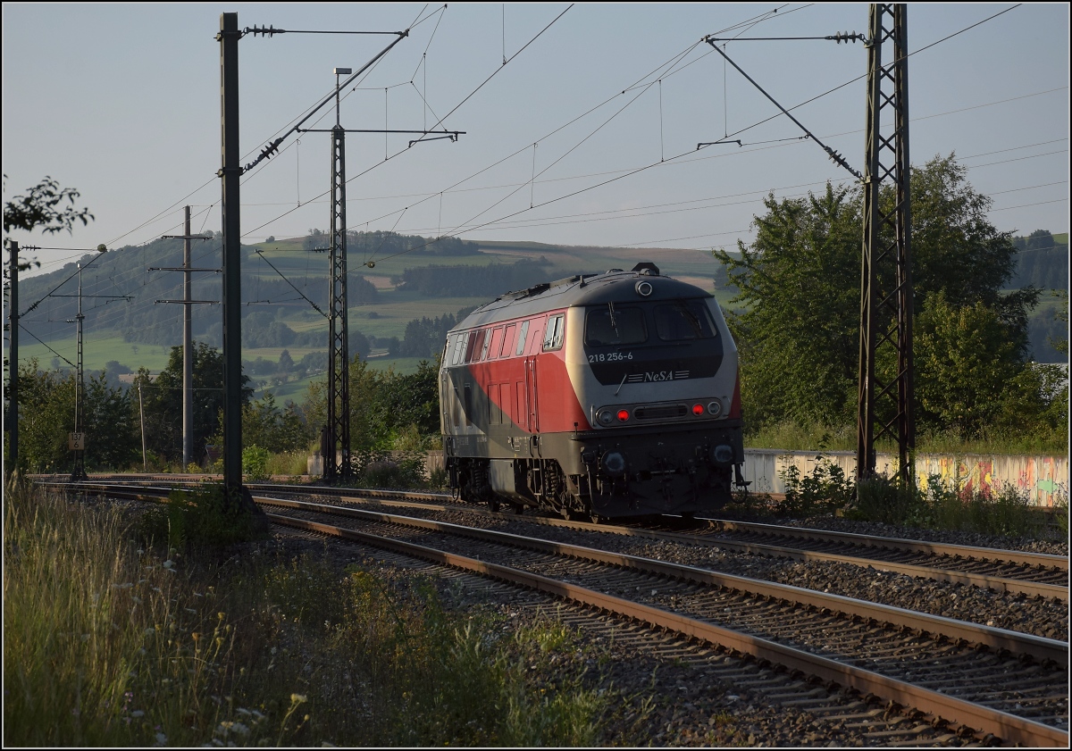 Rheintalumleiter im Hegau.

Für den Autozug nach Lörrach kam die ehemalige GKB-Lok 218 256 nach Singen geeilt, lange vor ihrem Zug. Mit ihrem (wahrscheinlich) Originalmotor hört man sie schon von weitem kommen und entscheidend lauter Brummen.

Welschingen, August 2021.