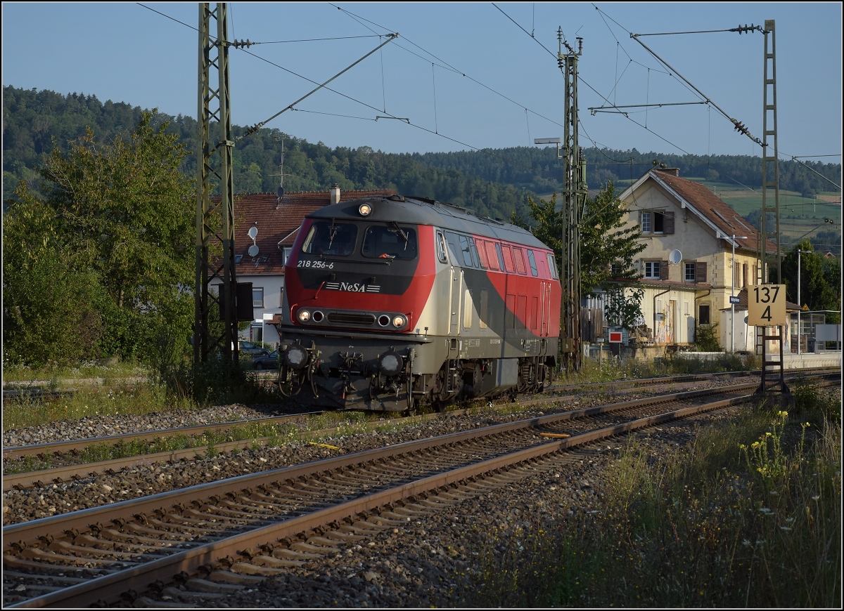 Rheintalumleiter im Hegau.

F�r den Autozug nach L�rrach kam die ehemalige GKB-Lok 218 256 nach Singen geeilt, lange vor ihrem Zug.

Welschingen, August 2021.