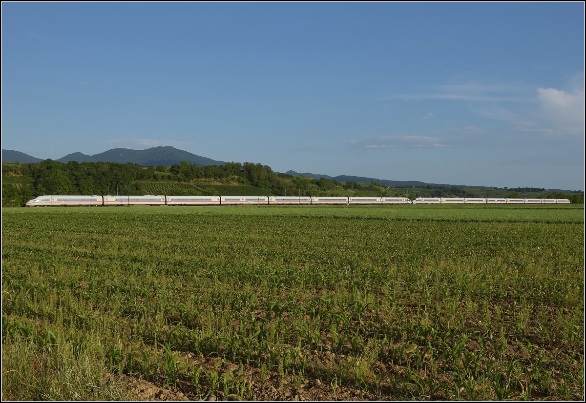 Rückkehr aus Basel von 403 028 'Aachen' und 403 061 'Celle'. Hügelheim, Juni 2022.