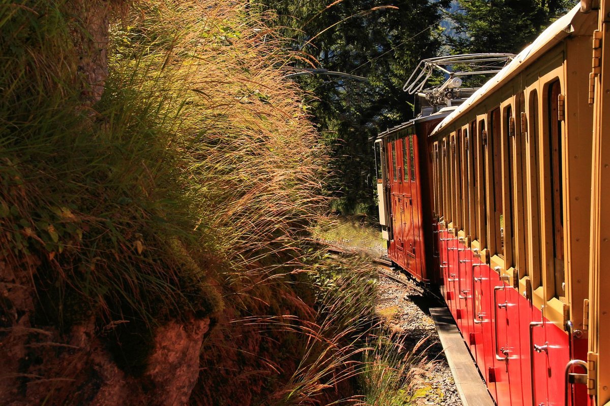 Schynige Platte Bahn: Aufnahmen vom langen Auf-/Abstieg zwischen Wilderswil und Breitlauenen sind äusserst schwer zu machen, weil das steile Waldgebiet unwegsam ist und die Lichtverhältnisse für Bilder extrem schlecht sind. Hier ein Aufnahmeversuch der Lok 18, 23.August 2016. 