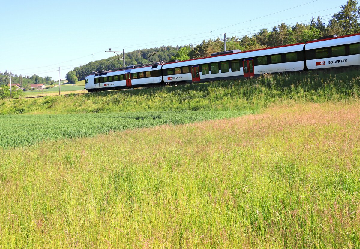 Sommer in Léchelles, an der Passstrecke von Fribourg hinüber ins Broyetal. Ausfahrt eines NPZ Domino mit Triebwagen 560 235 aus Léchelles in Richtung Payerne. 1.Juni 2021 