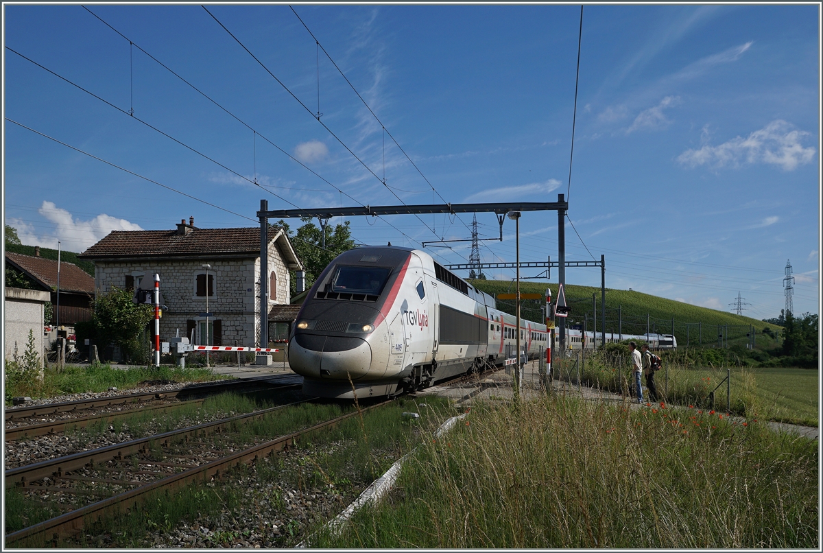 TGV Lyria 9768 von Genève nach Paris Gare de Lyon bei der Durchfahrt in Russin.
20.Juni 2016