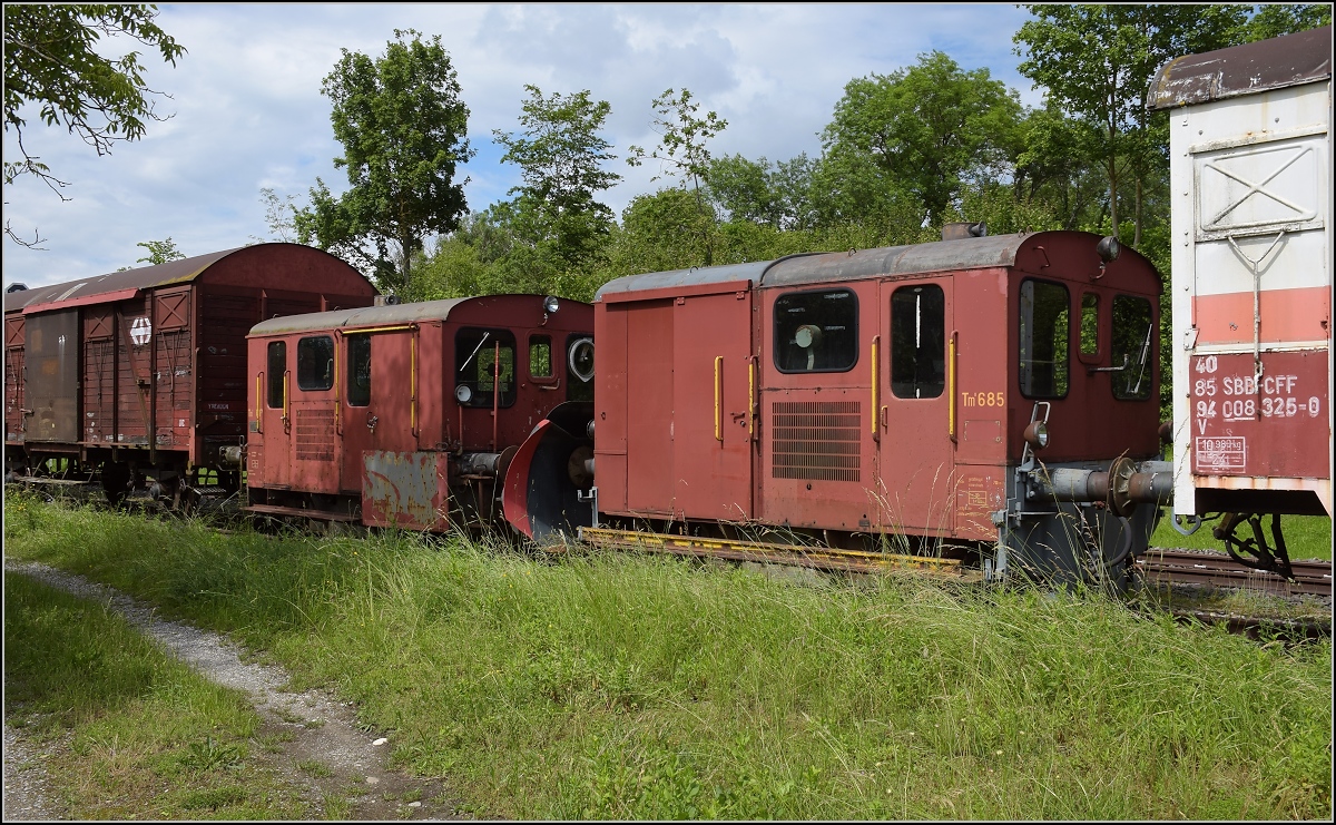 Tm II 685 aus der Tm II-Sammlung des Vereins Etzwilen-Singen. Dahinter mit sichtbarem Schneepflug Tm II 617. Hemishofen, Juni 2019.