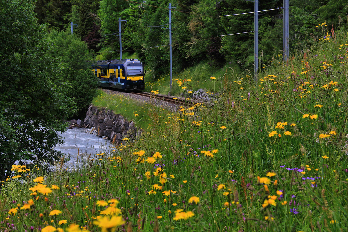 Triebwagen 321 an der Schwarzen Lütschine zwischen Schwendi und Grindelwald. 29.Mai 2018 