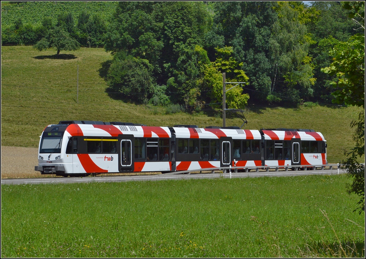 Triebwagen der Frauenfeld-Wil-Bahn ABe 4/8 bei L�dem. Juli 2014.