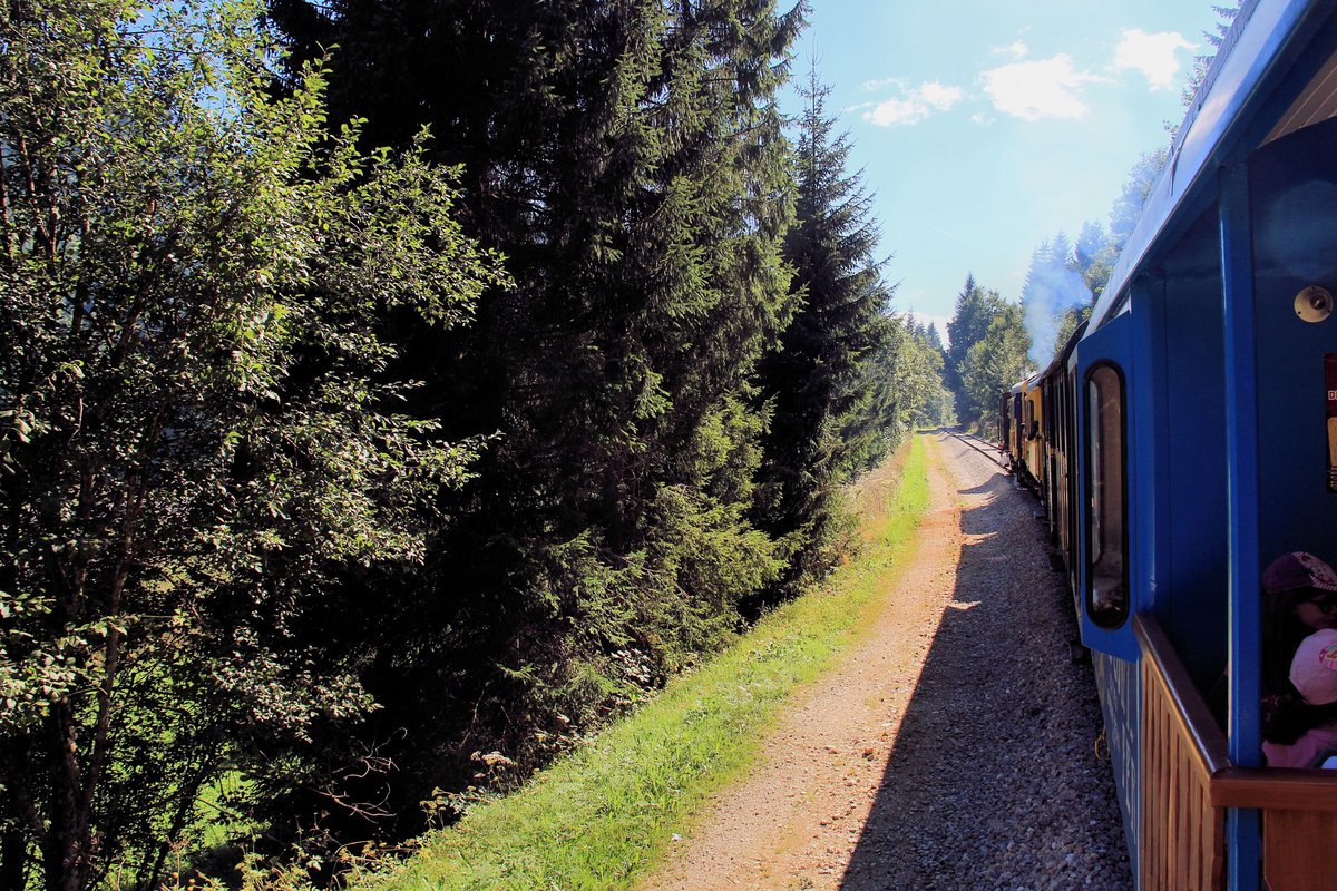 Typische Landschaft auf der Ostseite des Passes. Aus einem Zug im Aufstieg Richtung Les H�pitaux-Neufs. 11.August 2018 