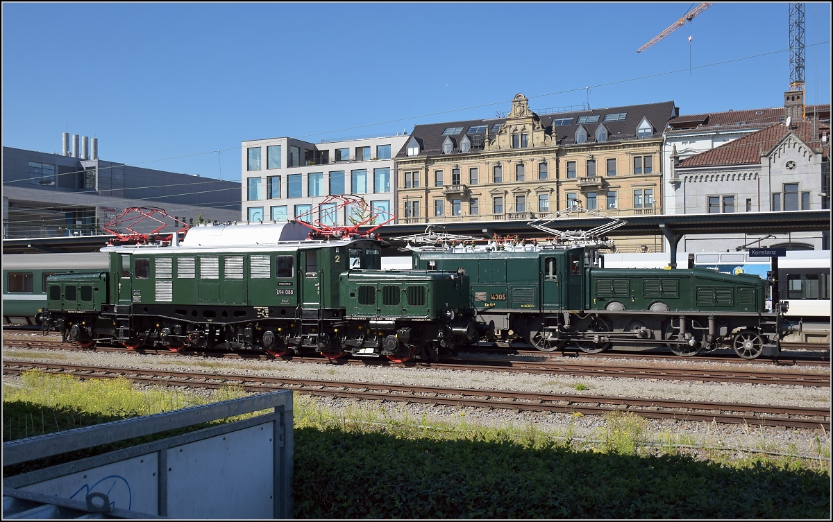Überraschung. Zwei Krokodile suchen Konstanz heim, auf ihrem Weg nach Göppingen. September 2019.