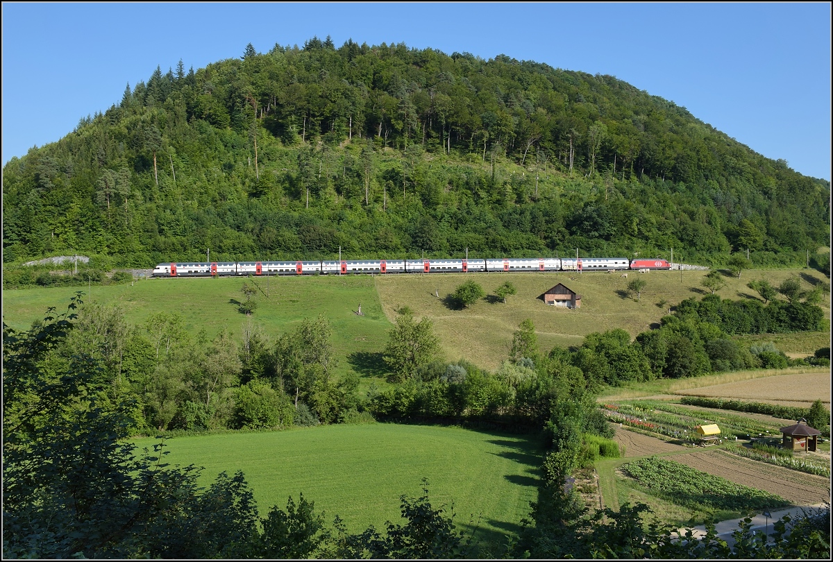 Umleiterverkehr auf dem Läufelfingerli. Ein IC, freundlicherweise recht kurz, umfährt einen der typischen Tafelberge im Jura. Rümlingen, Juli 2018.