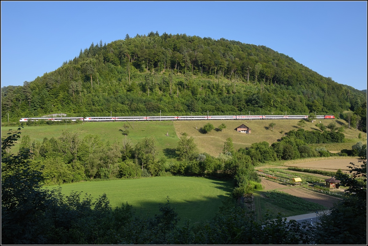 Umleiterverkehr auf dem L�ufelfingerli. Ein Zug mit EW IV und einem Verst�rkermodul umf�hrt einen der typischen Tafelberge im Jura. F�r noch l�ngere Z�ge, die eher der Regelfall sind, reicht der Berg leider nicht... R�mlingen, Juli 2018.