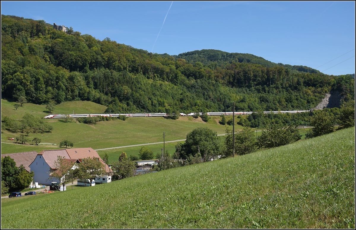 Umleiterverkehr auf dem Läufelfingerli. Ein Doppelpack RABe 503 in der Juralandschaft, einer der beiden Triebzüge dürfte wohl als ECE weiter gen Frankfurt eilen. Katzbach, August 2018.