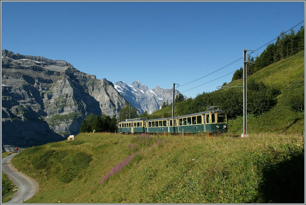 Von Lauterbrunnen (Kursbuchfeld 311) und von Grindelwald (Kursbuchbfeld 312)fährt die 80 cm spurige  Wengeneralpbahn  auf die Kleine Scheidegg. Hier ist ein dreiteilliger Zahnradbahn etwa halbem Weg zwischen der Wengeralp und der Kleien Scheidegg zu sehen.
21. Aug. 2013