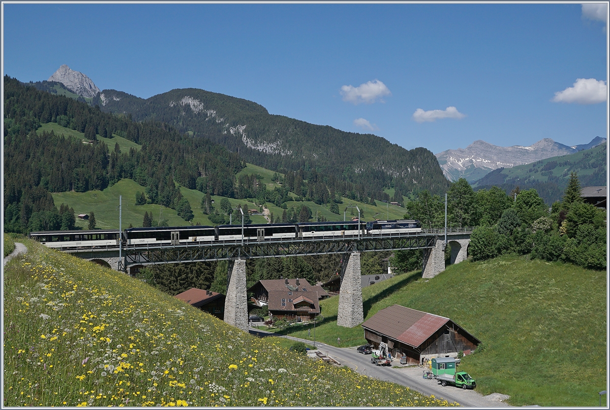 Während man bei den Zügen aus Richtung Zweisimmen erst sieht was da kommt, wenn sie bereits auf dem Grubenbach Viadukt bei Gstaad sind, erspäht man die Züge aus der Gegenrichtung schon gut drei bis vier Minuten vorher, kurz nach der Abfahrt in Saanen. Dies war bei der hier zu sehenden Aufnahme von Vorteil, denn die MOB Ge 4/4 mit ihrem PE 2118 als Komposition ohne Steuerwagen hätte einen schlechten Nachschuss abgegeben, so konnte ich kurzfristig die Fotostelle wechseln und den Zug von der Seite her fotografieren. 

2. Juni 2020 