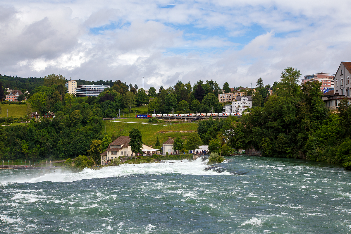
Während tobend die Wassermassen den Rheinfall bei Schaffhausen herab stürzen, zieht die SBB Cargo Re 620 060-4   Tavannes  (ex SBB Re 6/6 11660   Tavannes  ) am 18.06.2016 einen Holcim Zement-Silowagen-Zug (Wagen der Gattung Uacns) durch Neuhausen am Rheinfall, über die Hochrheinbahn (SBB Strecke 760 / DB KBS 730) in Richtung Zürich.

Übrigens rechts oben im Bild, kann man es gerade noch erkennen „SIG“, hier ist der Sitz der ursprünglich Schweizerische Industrie-Gesellschaft Neuhausen am Rheinfall, heute SIG Combibloc Services AG. Hier wurden früher auch viele Schienenfahrzeuge gebaut. In den 1990er-Jahren entwickelte SIG die elektrische Neigetechnik des SBB RABDe 500 in Konkurrenz zur hydraulischen Neigetechnik von Fiat Ferroviaria. Die Schienenfahrzeugsparte wurde 1995 an Fiat verkauft. 2000 kam sie zusammen mit der ganzen Fiat Ferroviaria zu Alstom. Auch viele Trams wurden dort hergestellt.

