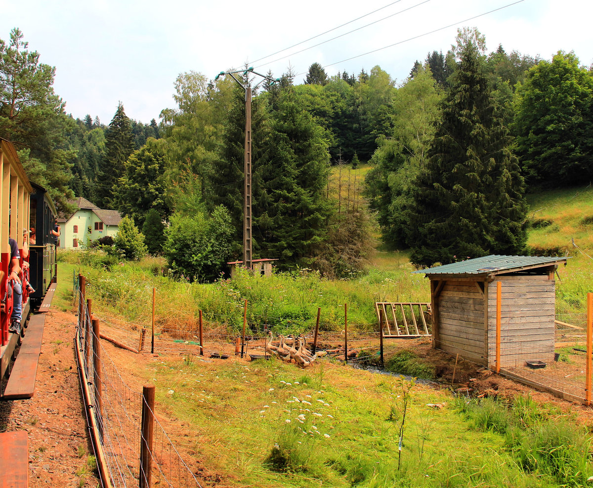 Wagen 27 nicht im imposanten Jungfraugebiet, sondern in einem beschaulichen französischen Dorf, neben allerlei Tieren. 22.Juli 2018 
