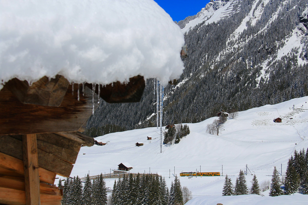 Zug 122 mit Gelenksteuerwagen 243 im Aufstieg zur Station Allmend am tief winterlichen 29.April 2017. 
