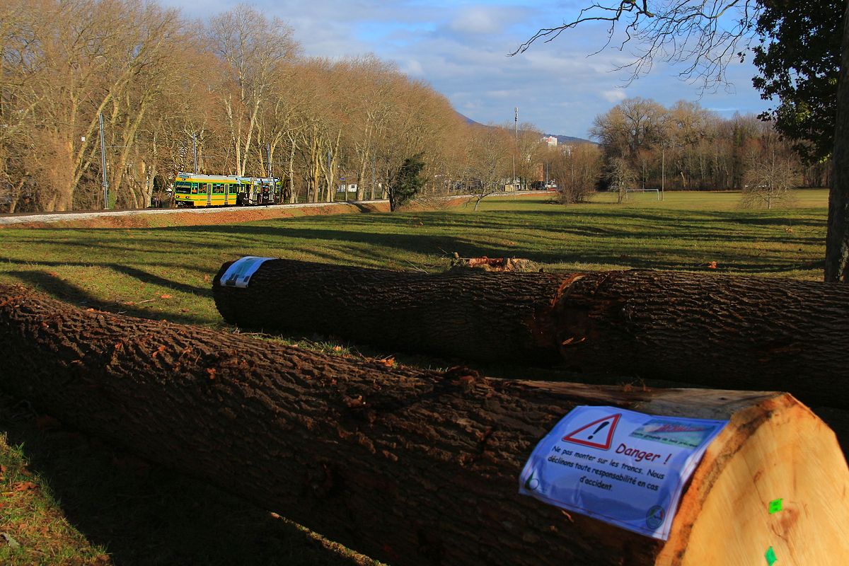 Zug Bt 554-Triebwagen 504 in gefahrvoller Umgebung bei Colombier. 23.Januar 2018 