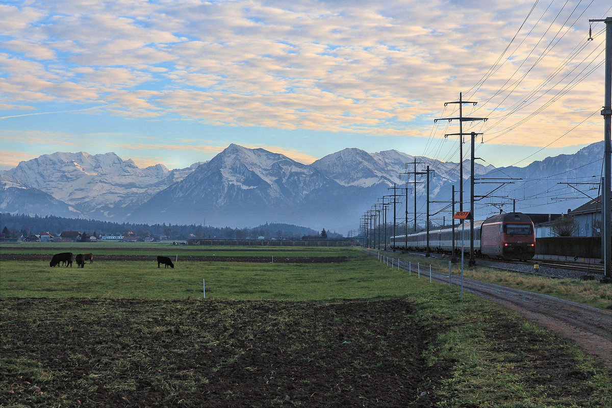 Zugsvielfalt bei Sonnenuntergang an der Bahnstrecke Bern-Thun: Ein Intercity Basel - Interlaken Ost mit einstöckigen IC-Wagen, gestossen von einer Re 460. Wichtrach, 23.Nov.2020 