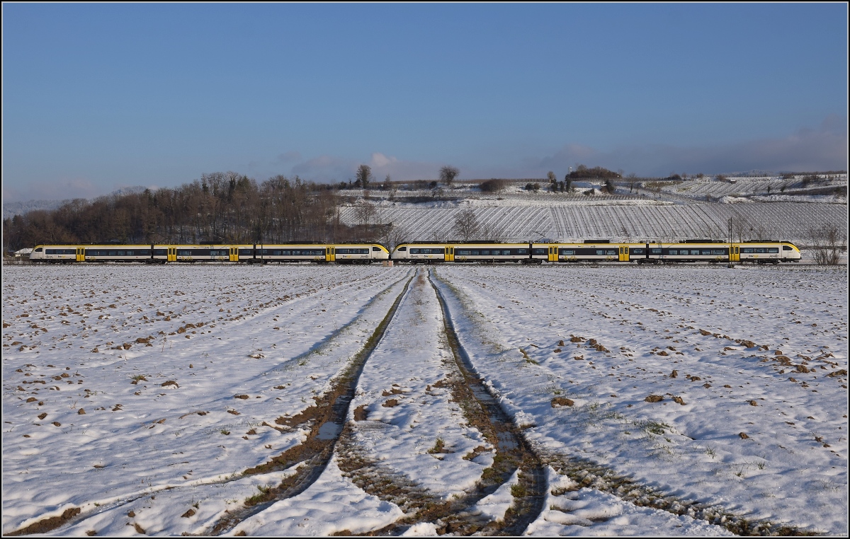 Zwischen Belchensystem und Blauendreieck. 

Eine Doppeltraktion 463 auf dem Weg nach Basel. Buggingen, Februar 2021.