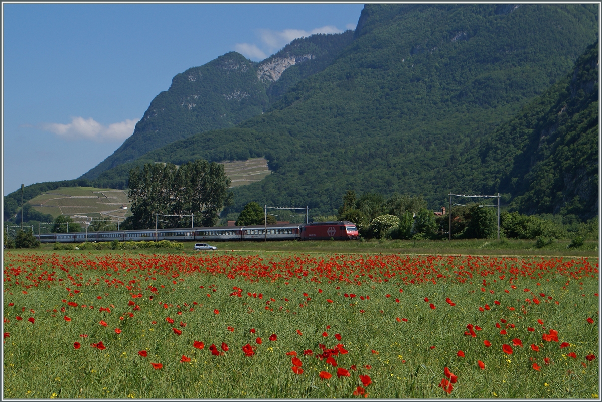 Zwischen Roches VD  und Yvorne zieht eine Re 460 ihren IR 1813 Richtung Brig und wird in wenigen Minuten Aigle erreichen.
27. Mai 2015